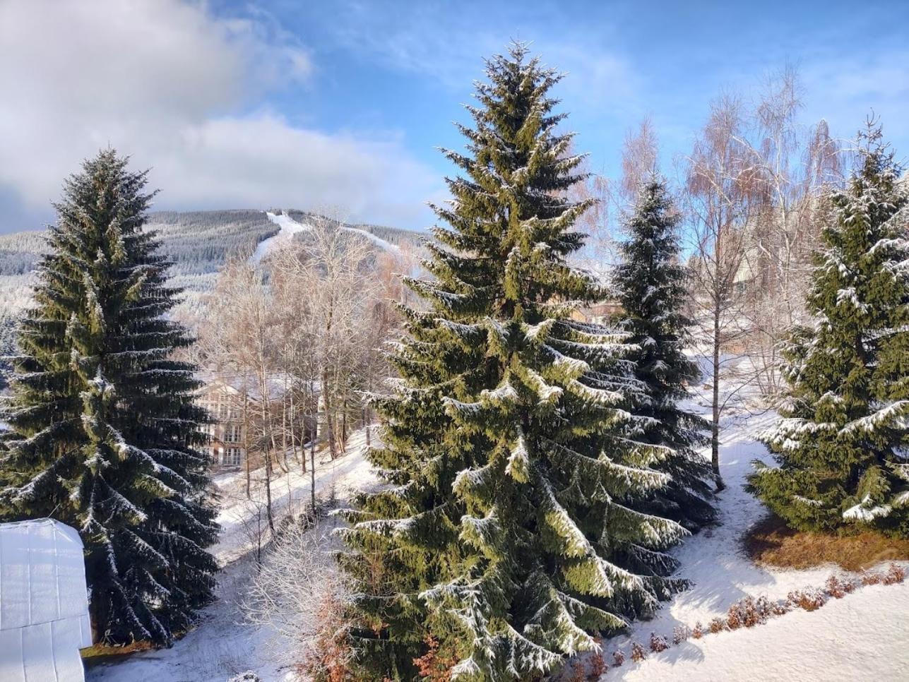 Třílůžkový pokoj Pension Kubů Špindlerŭv Mlýn Exterior foto